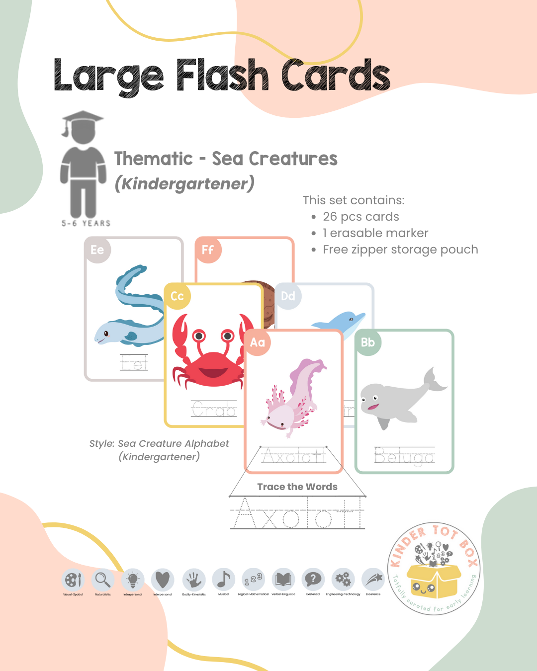 Large Flash Cards